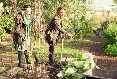 POTAGER partagé