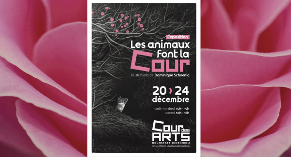 cour animaux