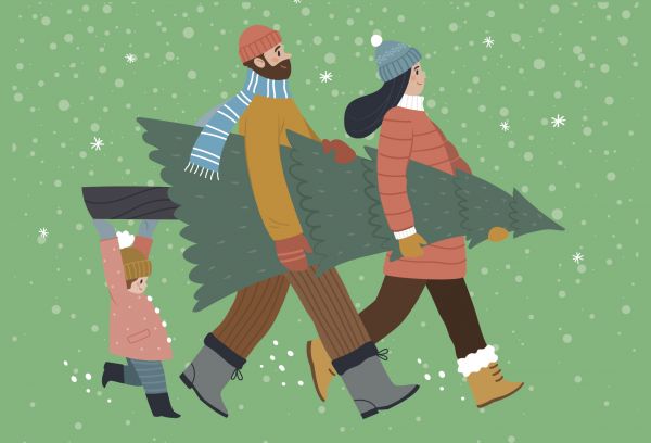 sapins de Noël