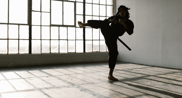 stage aikido