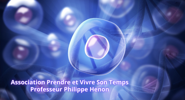 conf cellules souches