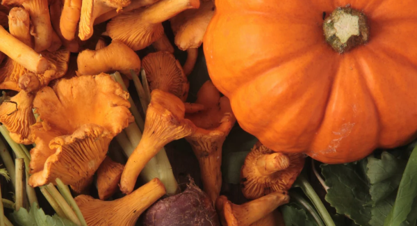 marché d'automne
